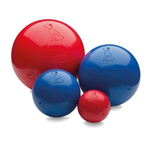 10" Indestructible Dog Ball - Boomer Ball