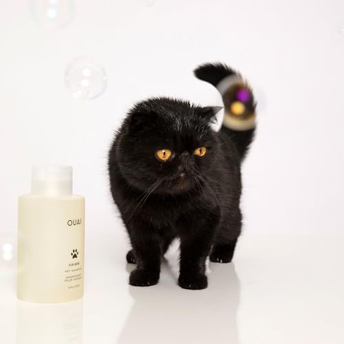 Fur Bébé Pet Shampoo - 16 Fl Oz