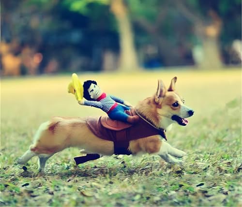 Cowboy Rider Dog Costume - Large