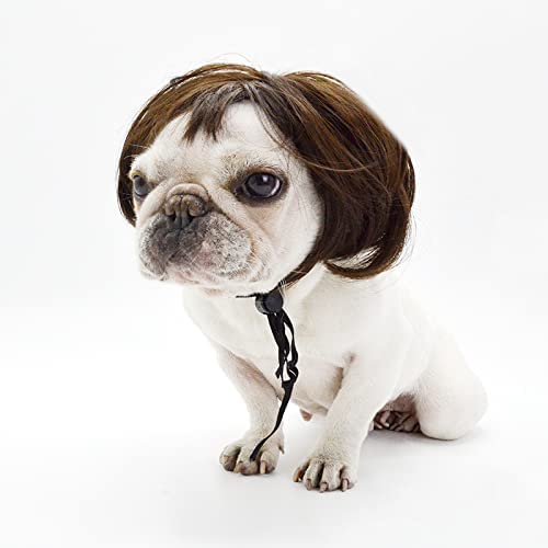 Funny Pet Cosplay Wig - Halloween & Parties