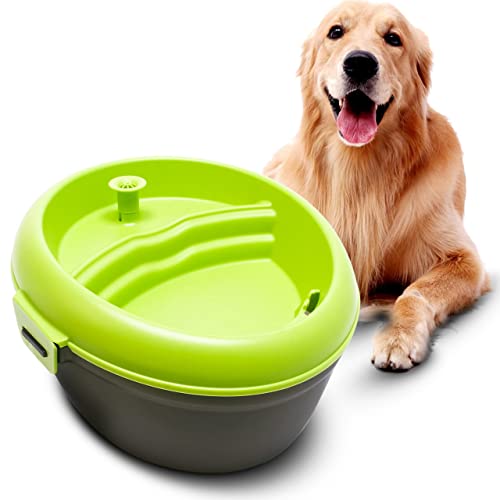 Large Dog Water Fountain - Automatic & Filtered