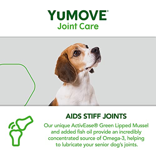 Hip and Joint Supplement for Dogs with Glucosamine, Hyaluronic Acid, Green Lipped Mussel