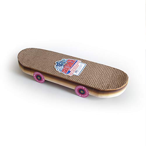 Skateboard Cat Scratcher - Indoor Cats