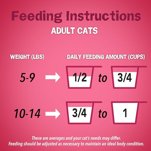 Friskies Dry Cat Food - Gravy Swirlers, 22 lb. Bag