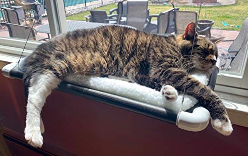 Cat Perch