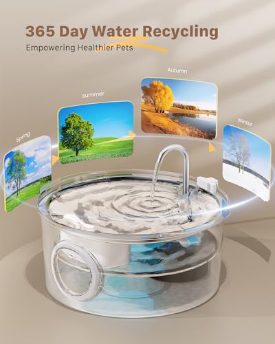 Large Dog Water Fountain - Stainless Steel