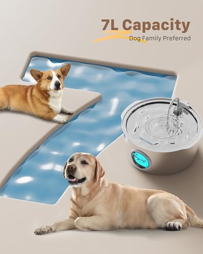Large Dog Water Fountain - Stainless Steel