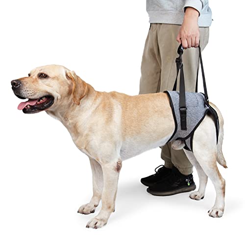 Dog Sling for Large Dogs Hind Leg Support to Help Rehabilitate