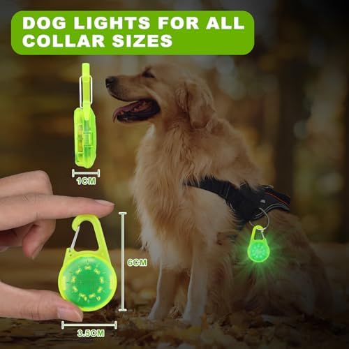 Dog Lights for Night Walking - USB Rechargeable