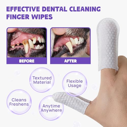 Teeth Cleaning Wipes for Dogs & Cats