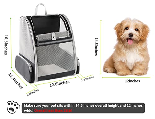 Bubble Backpack Pet Carrier - Black
