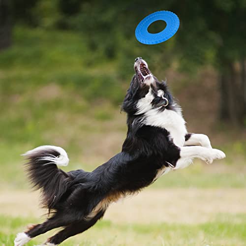 Rubber Tire Flyer Dog Toy - 10 Inch, Blue