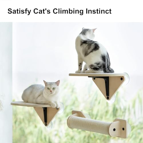 Cat Window Perch Hammock Set