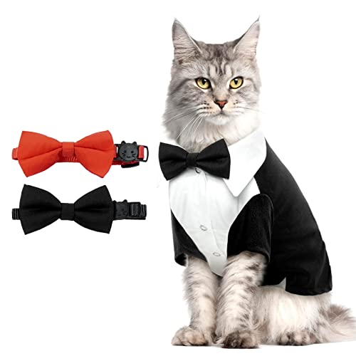 Cat Tuxedo Shirt