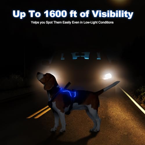 Lighted Dog Harness - Rechargeable LED