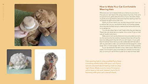 Cat-Hair Hats Crafting Book