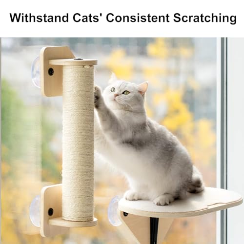 Cat Window Perch Hammock Set