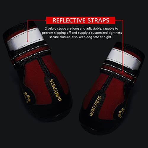Dog Shoes