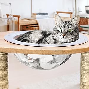 Durable Acrylic Dome Dog Window for Fence