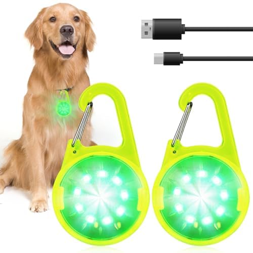 Dog Lights for Night Walking - USB Rechargeable