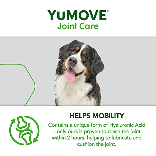 Hip and Joint Supplement for Dogs with Glucosamine, Hyaluronic Acid, Green Lipped Mussel