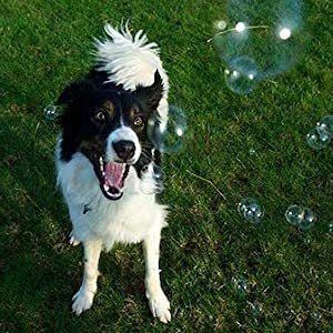 Roasted Chicken Scented Bubbles - 8oz