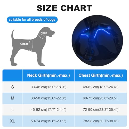 Lighted Dog Harness - Rechargeable LED