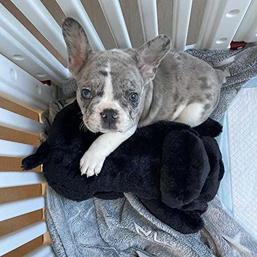 Snuggle Puppy Heartbeat Stuffed Toy
