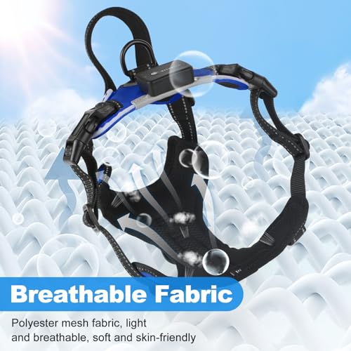 Lighted Dog Harness - Rechargeable LED
