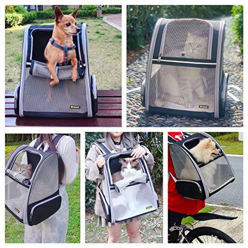 Bubble Backpack Pet Carrier - Black