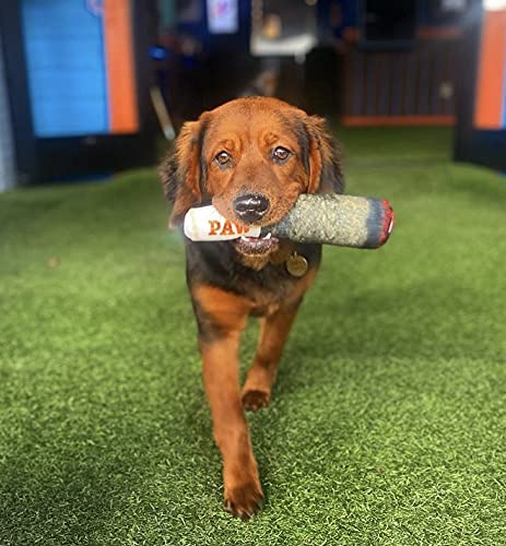 Doggy Doobie Plush Squeaky Toy