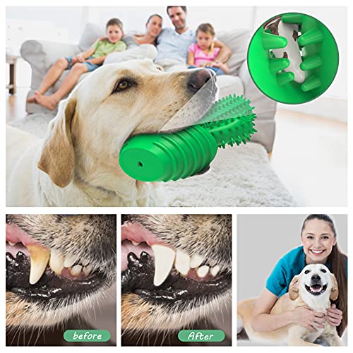 Dog Toothbrush Chew Toy - Tough Dental Stick