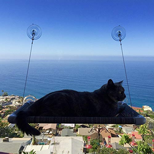 Cat Perch