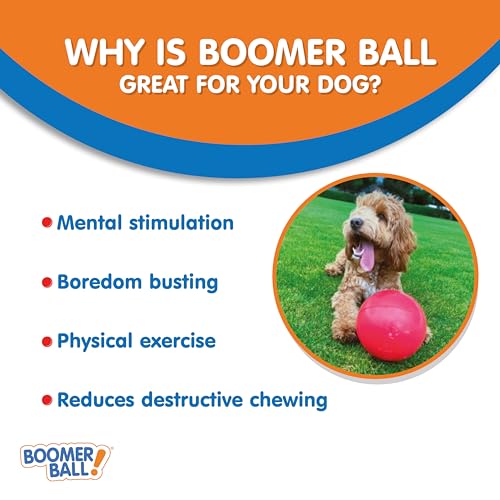 10" Indestructible Dog Ball - Boomer Ball