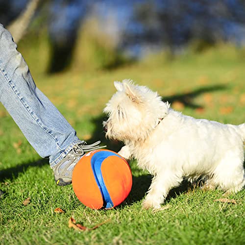 Kick Fetch Ball Dog Toy - Large