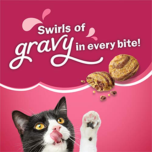 Friskies Dry Cat Food - Gravy Swirlers, 22 lb. Bag