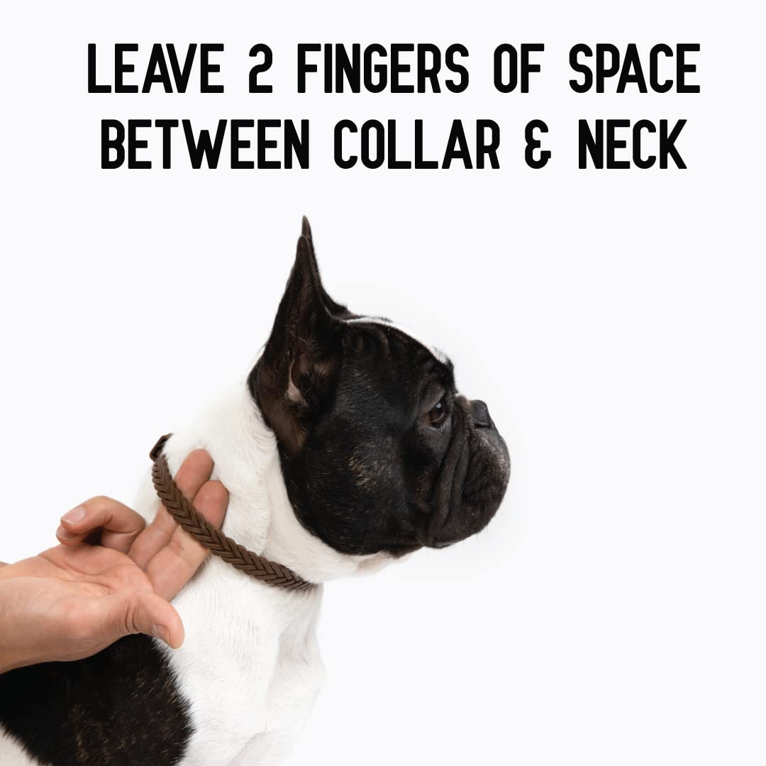 Hip + Joint Mobility Collar for Dogs with Glucosamine, Chondroitin, MSM, and More