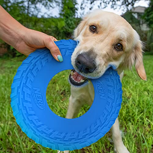 Rubber Tire Flyer Dog Toy - 10 Inch, Blue