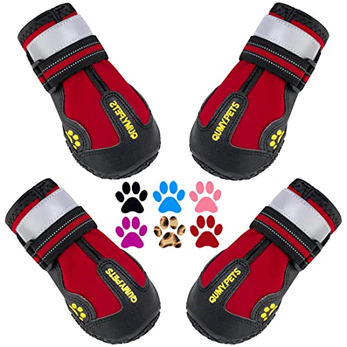 Dog Shoes