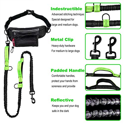 Hands-Free Running Dog Leash Set