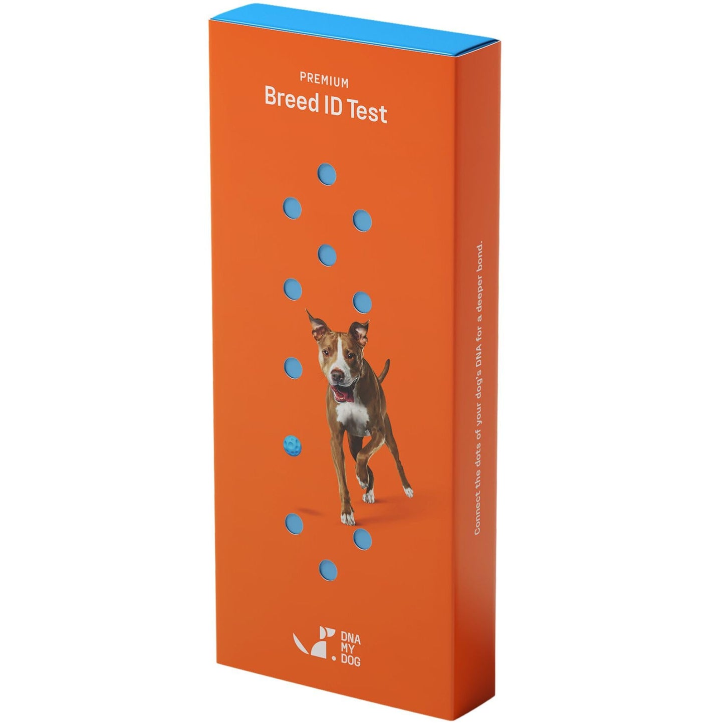 Premium Dog DNA Test - Breed ID & Genetic Age
