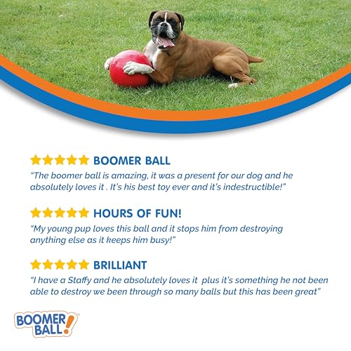 10" Indestructible Dog Ball - Boomer Ball