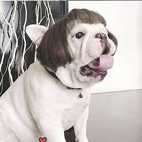 Funny Pet Cosplay Wig - Halloween & Parties