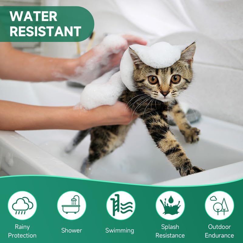 Flea and Tick Prevention for Cats