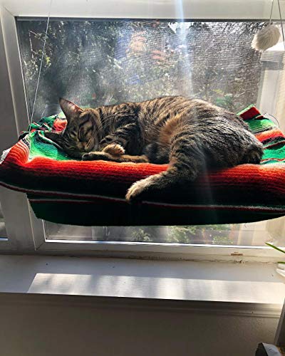 Cat Perch