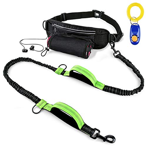 Hands-Free Running Dog Leash Set