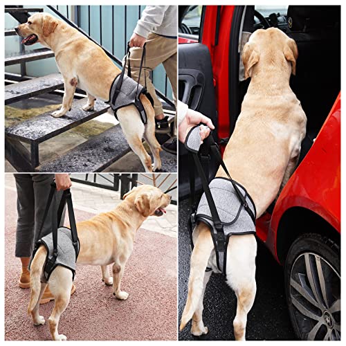 Dog Sling for Large Dogs Hind Leg Support to Help Rehabilitate