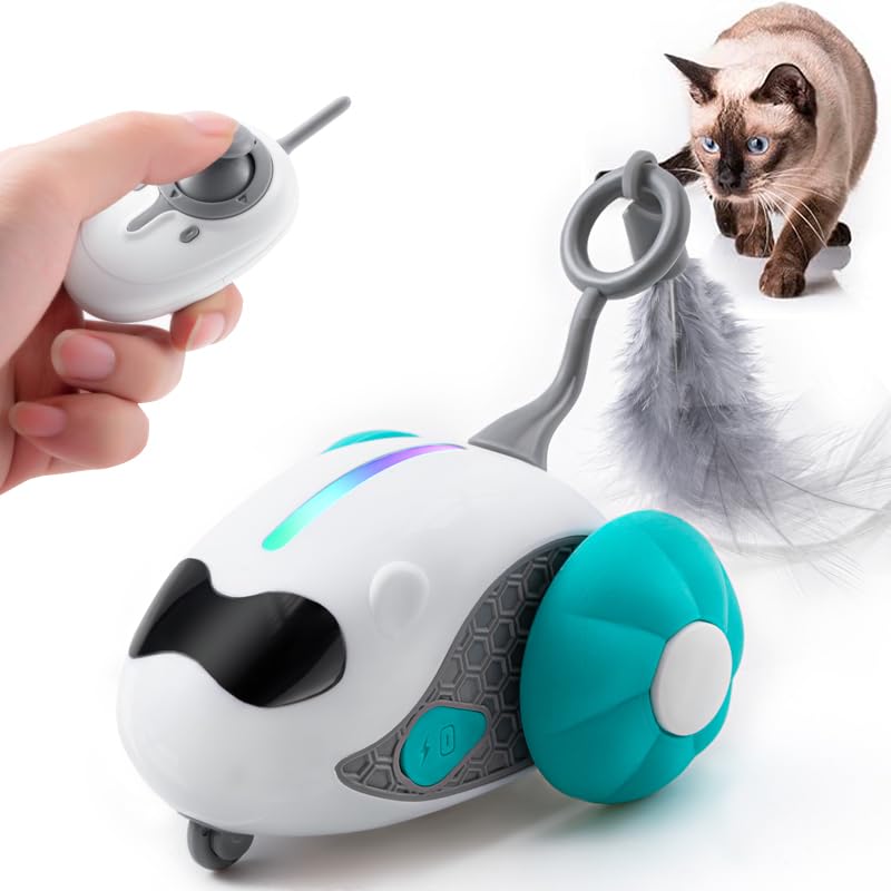 Remote Control LED Cat Toy