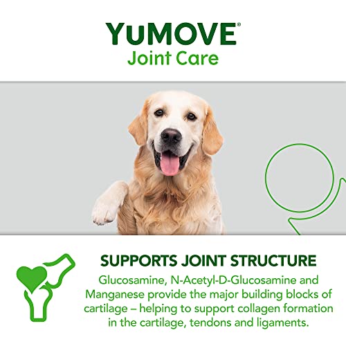Hip and Joint Supplement for Dogs with Glucosamine, Hyaluronic Acid, Green Lipped Mussel