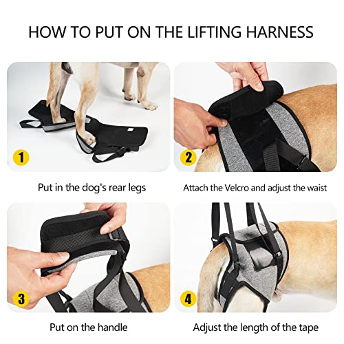 Dog Sling for Large Dogs Hind Leg Support to Help Rehabilitate